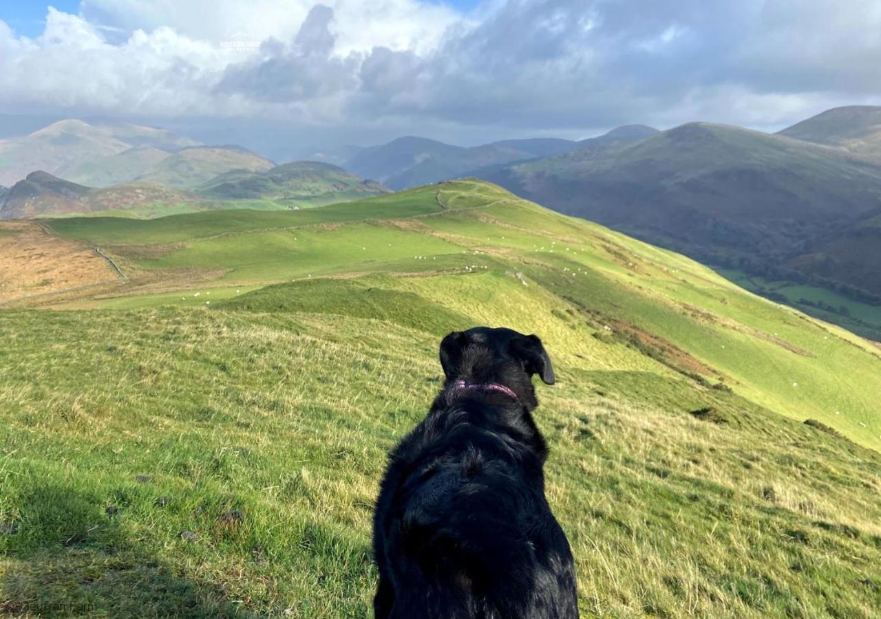 Bryn-crugThe Barn At Geufron Farm - Dog Friendly - Nr Tywyn别墅 外观 照片