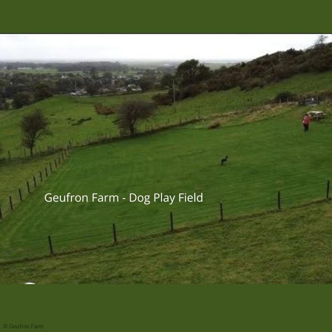 Bryn-crugThe Barn At Geufron Farm - Dog Friendly - Nr Tywyn别墅 外观 照片
