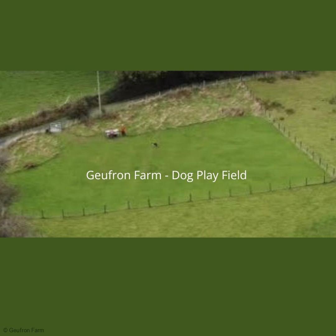 Bryn-crugThe Barn At Geufron Farm - Dog Friendly - Nr Tywyn别墅 外观 照片